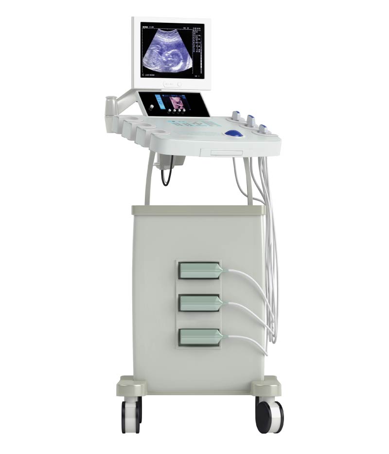 diagnose x-rays and Ultrasounds